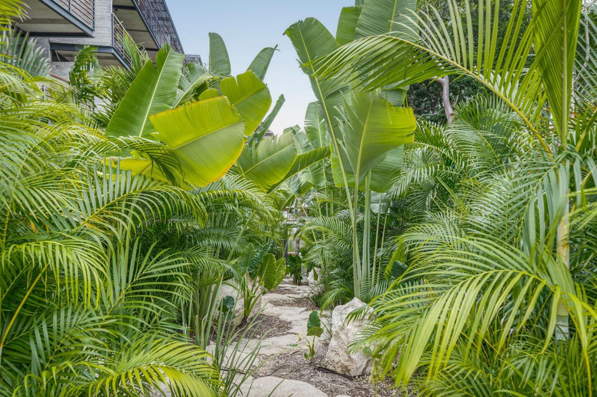 Waterworld Tulum 2Br W Cenote -Lagoons - Big Gym Exterior photo